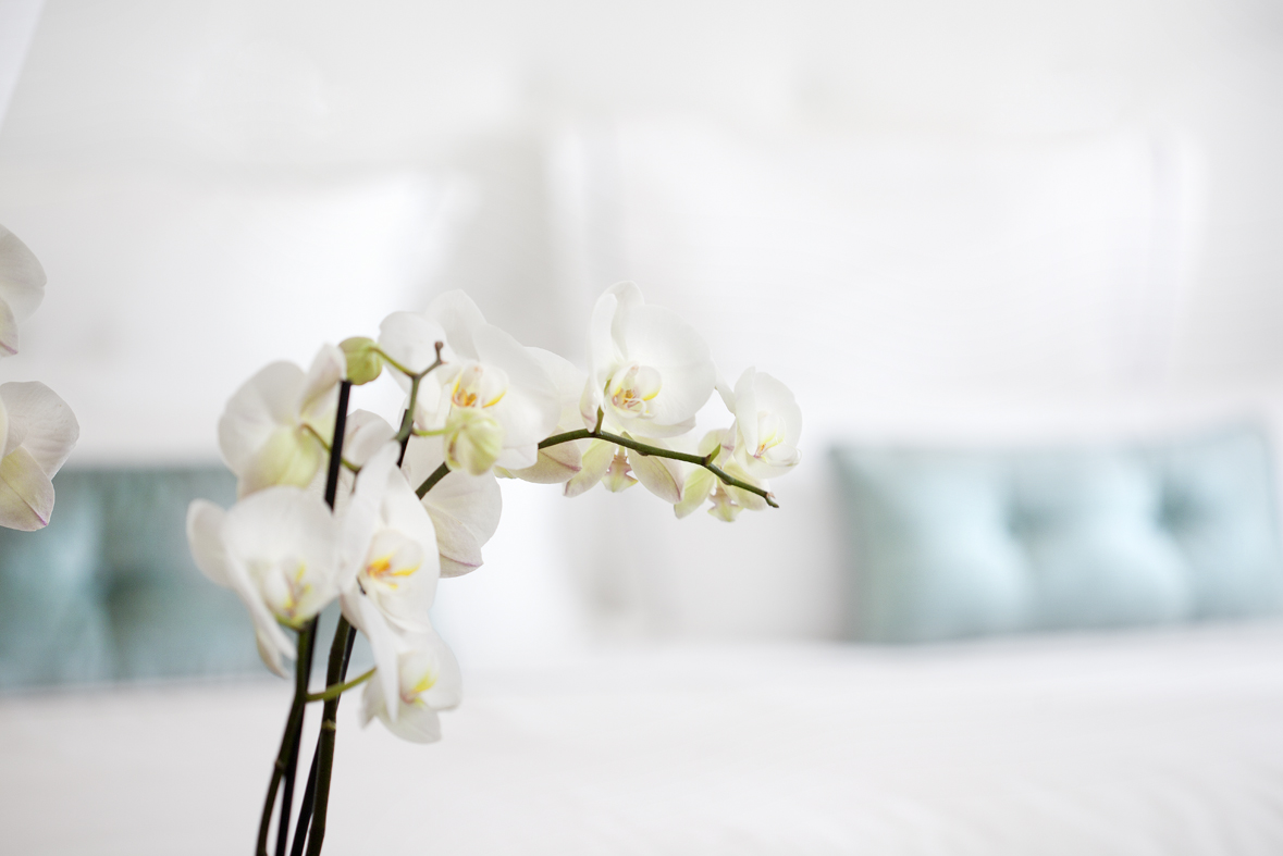 _MG_3474 - copia.jpg